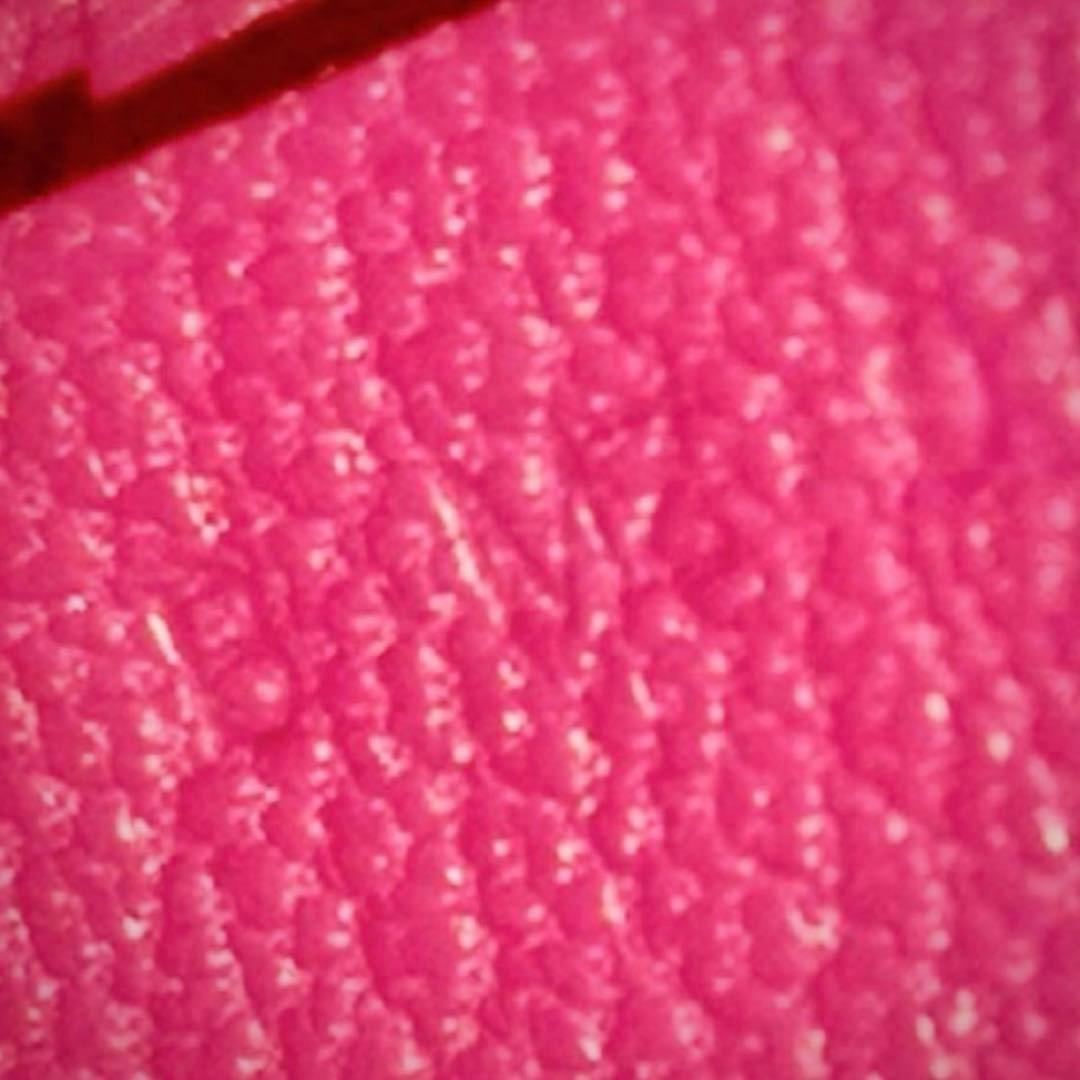 (新品未使用) HERMES エルメス バスティア ケース B刻印