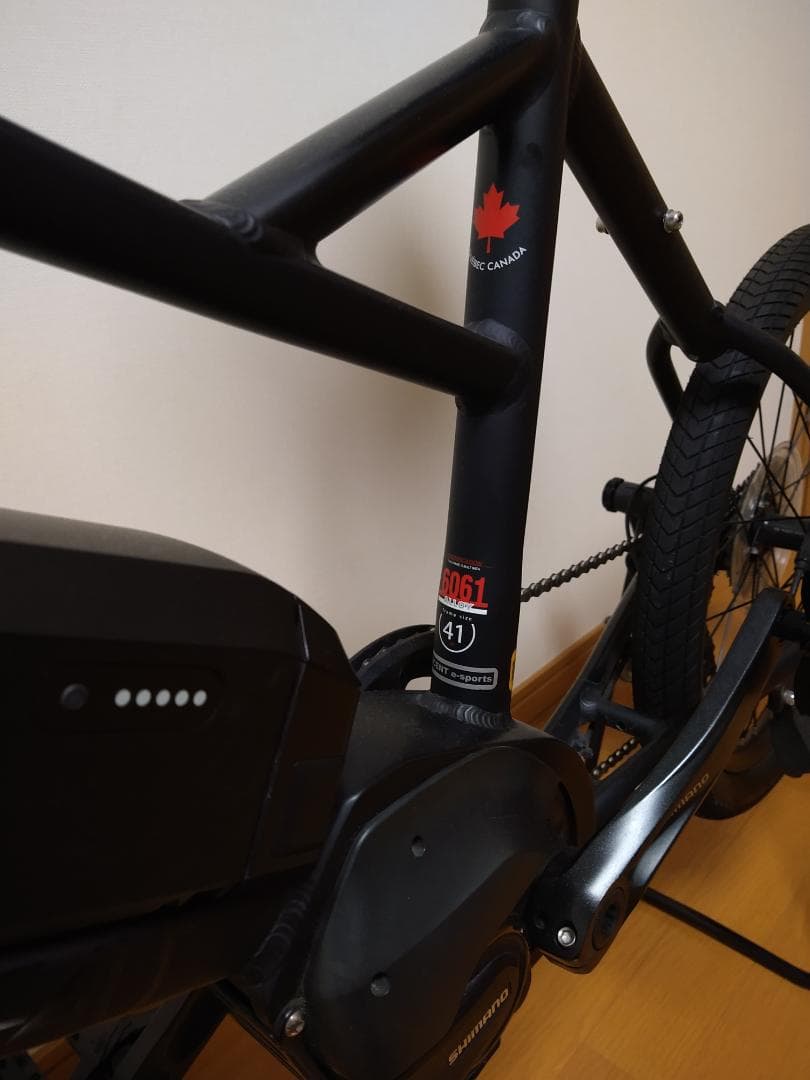 ルイガノ ASCENT e-sports