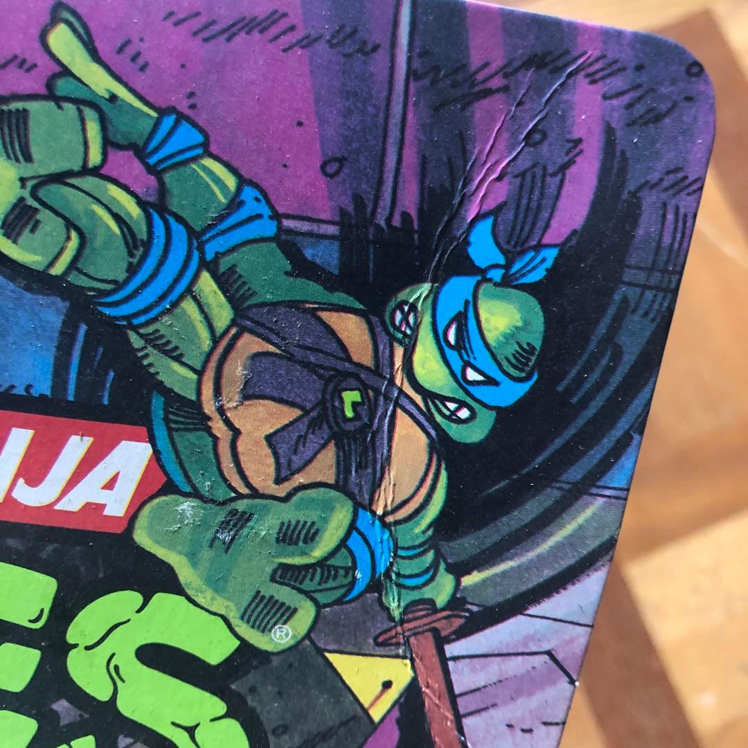 ミュータント・タートルズ ベーシック レオナルド アクションフィギュア 新品