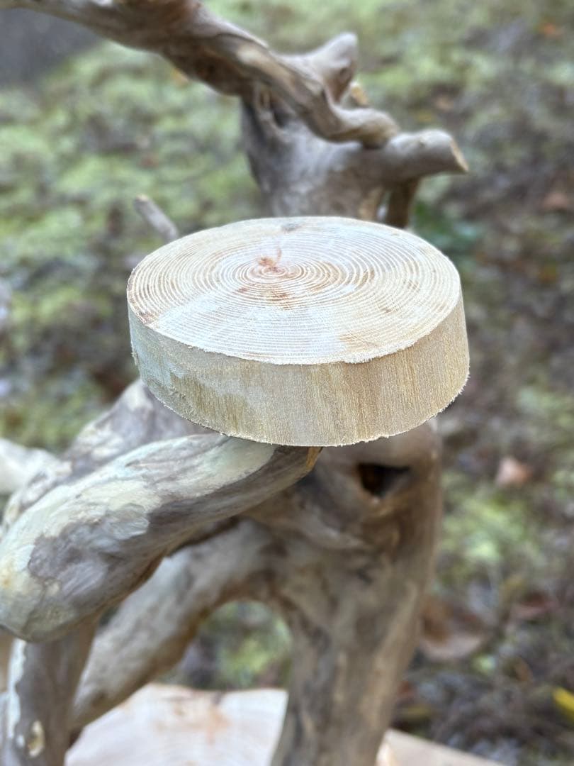 ハンドメイド　バードアスレチック　バードジム