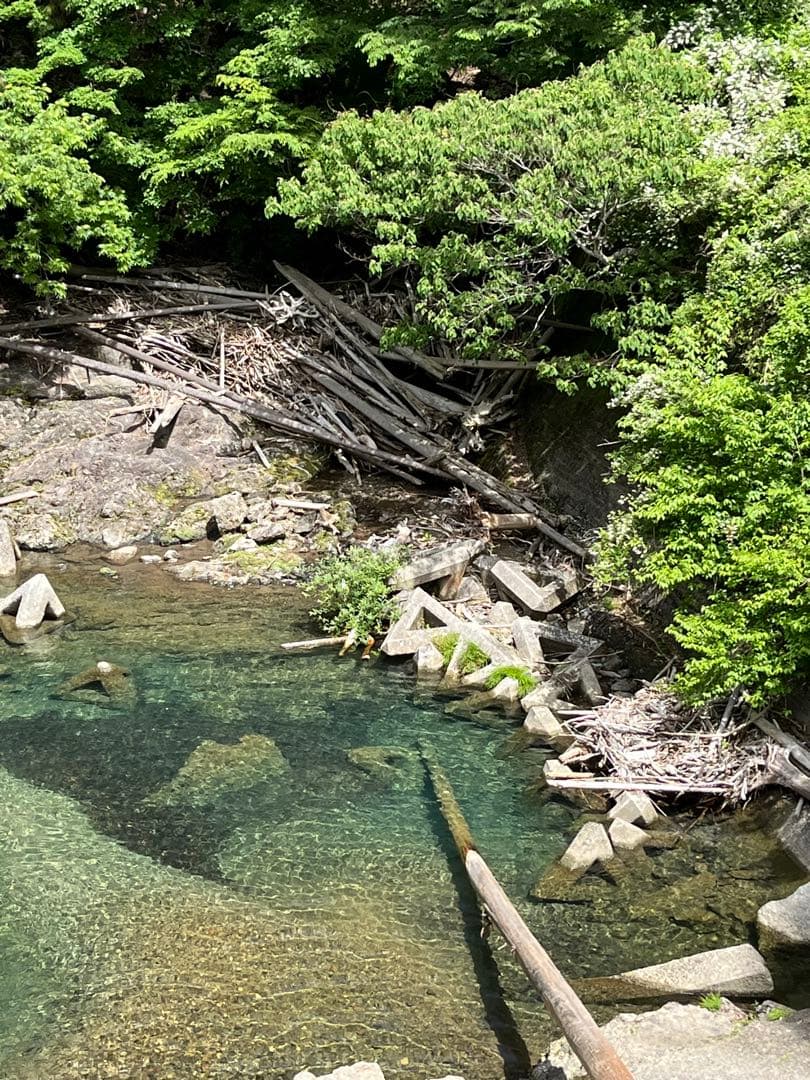 ハンドメイド　バードアスレチック　バードジム