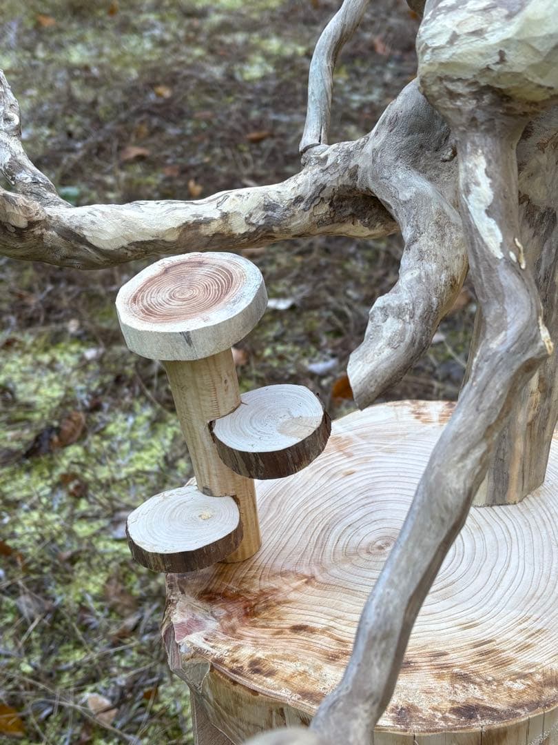 ハンドメイド　バードアスレチック　バードジム