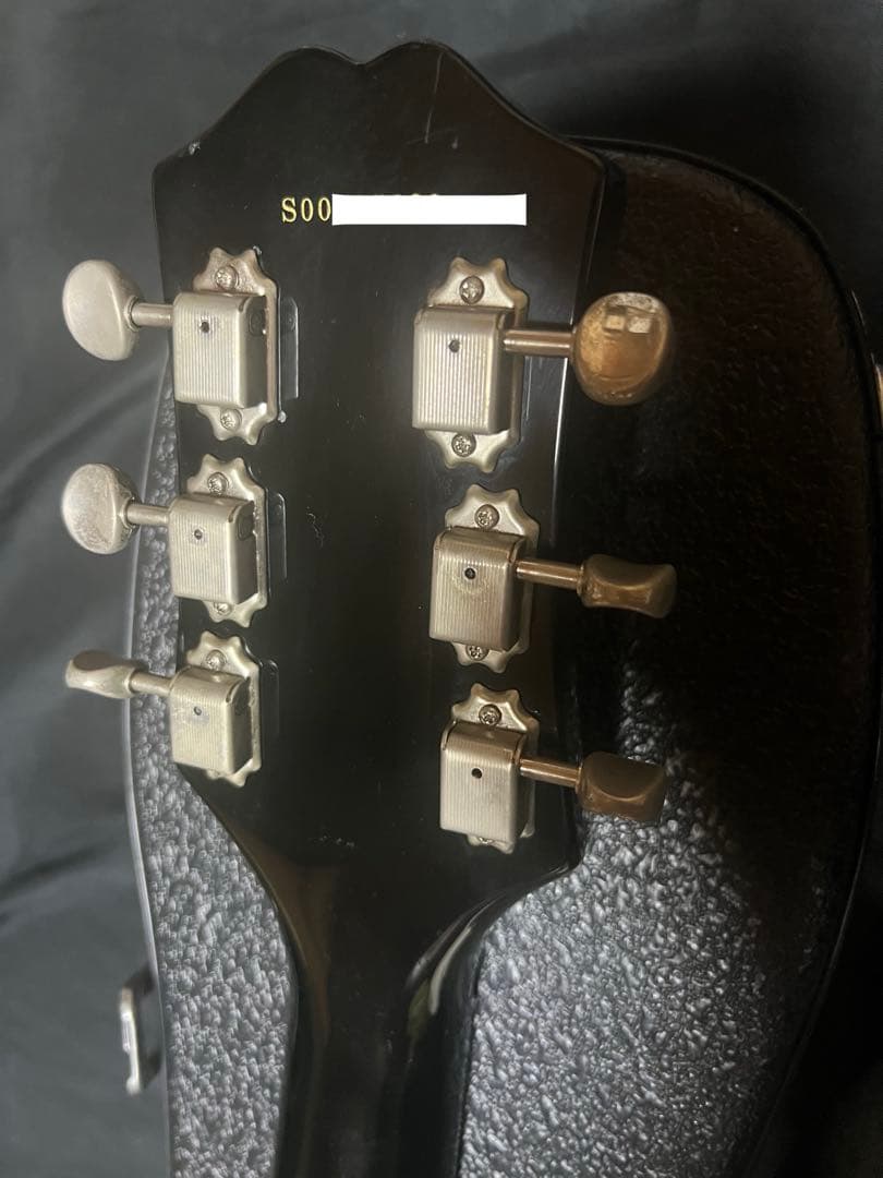 【Epiphone】Flamekat Ebony・Flame Graphic