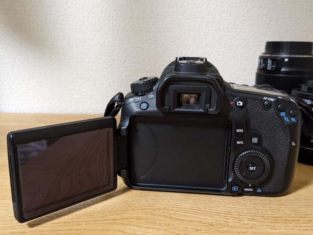 キヤノン EOS 60D 2レンズセット（18-135mm+10-18mm）