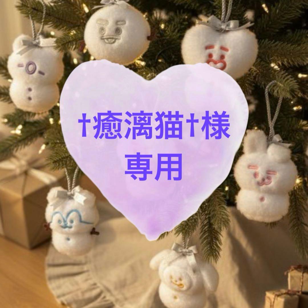 ★専用★BTS BT21 テテ テヒョン キーリング トレカケース マグネット