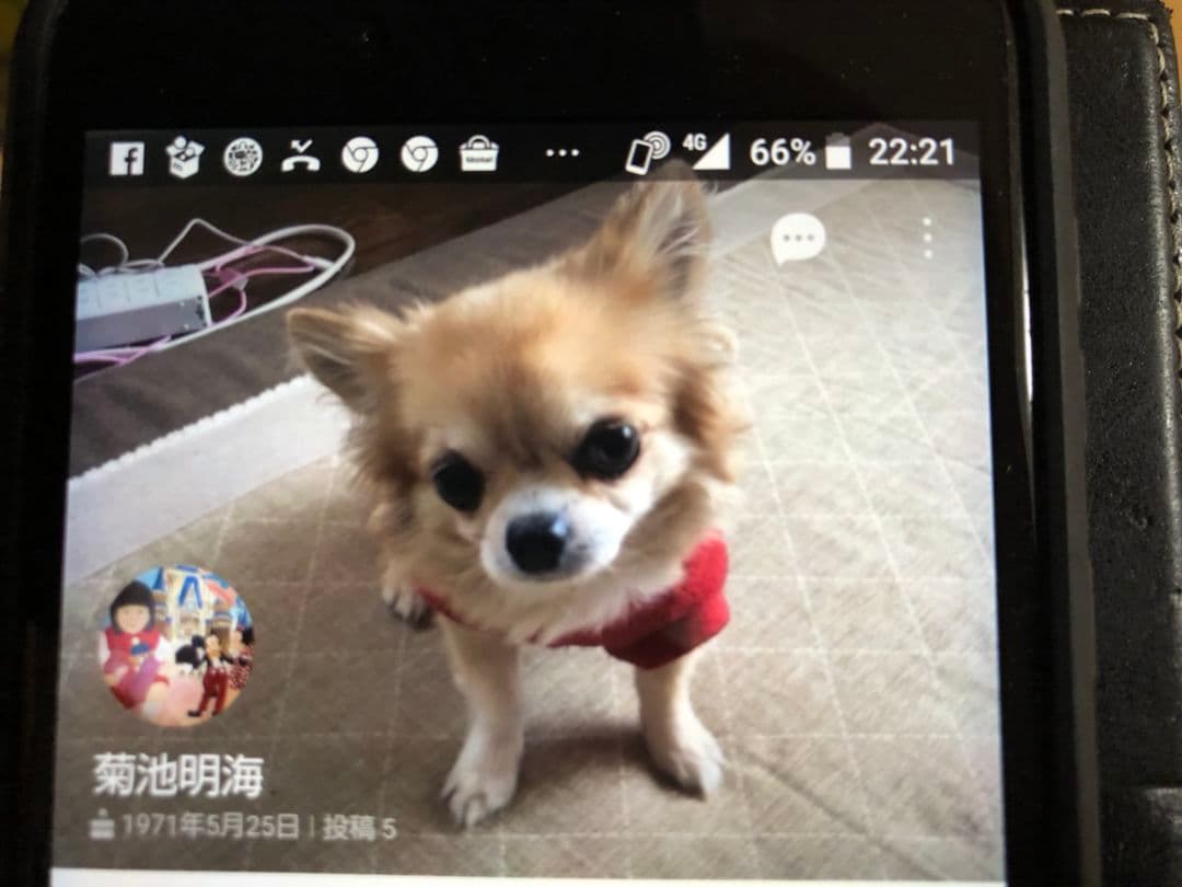 キーホルダー用