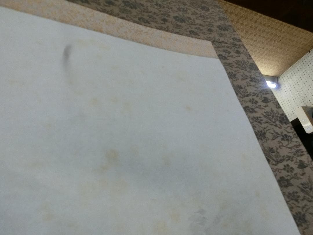 水墨画 水墨山水 春水画