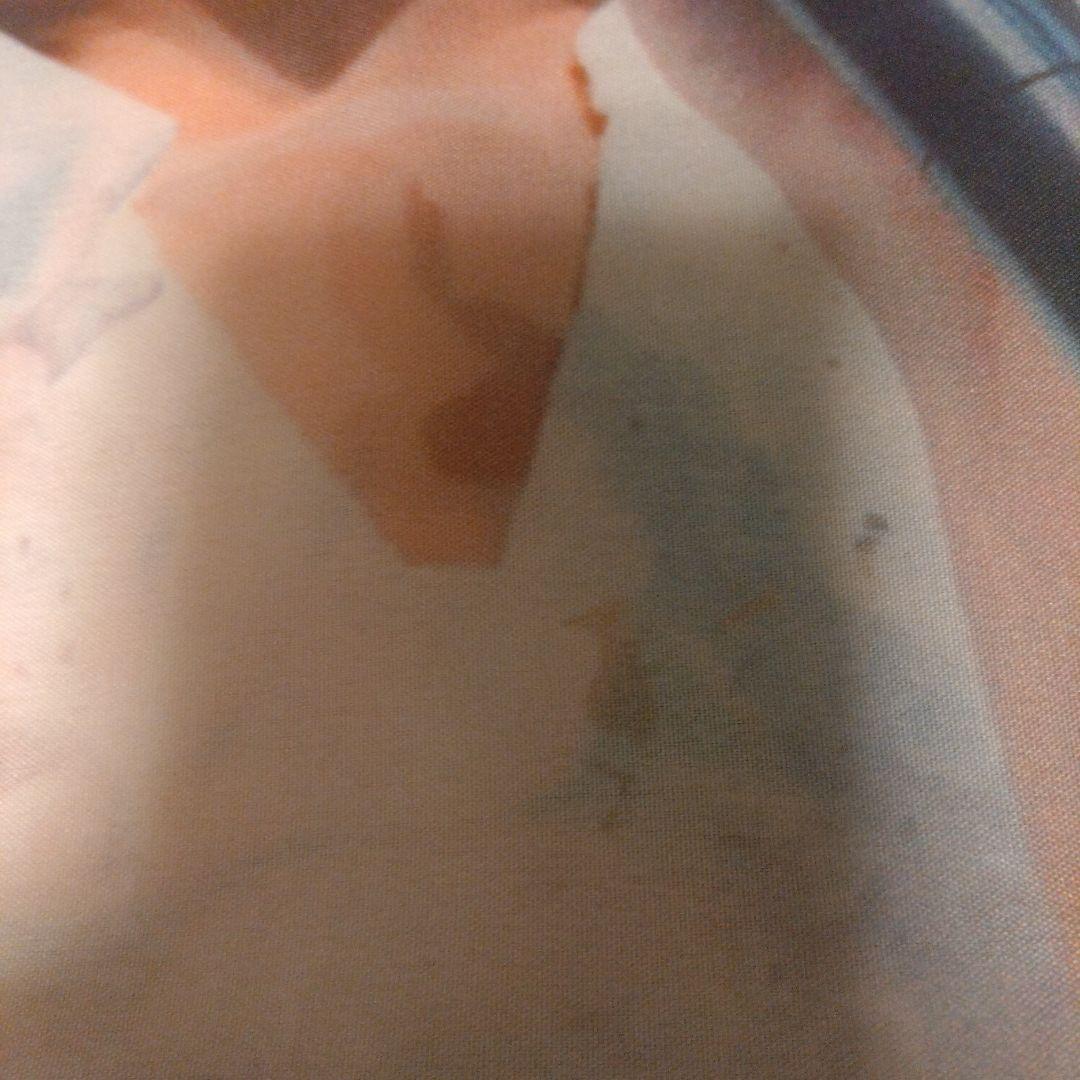 【早い者勝ち】Twice ファングッズセット