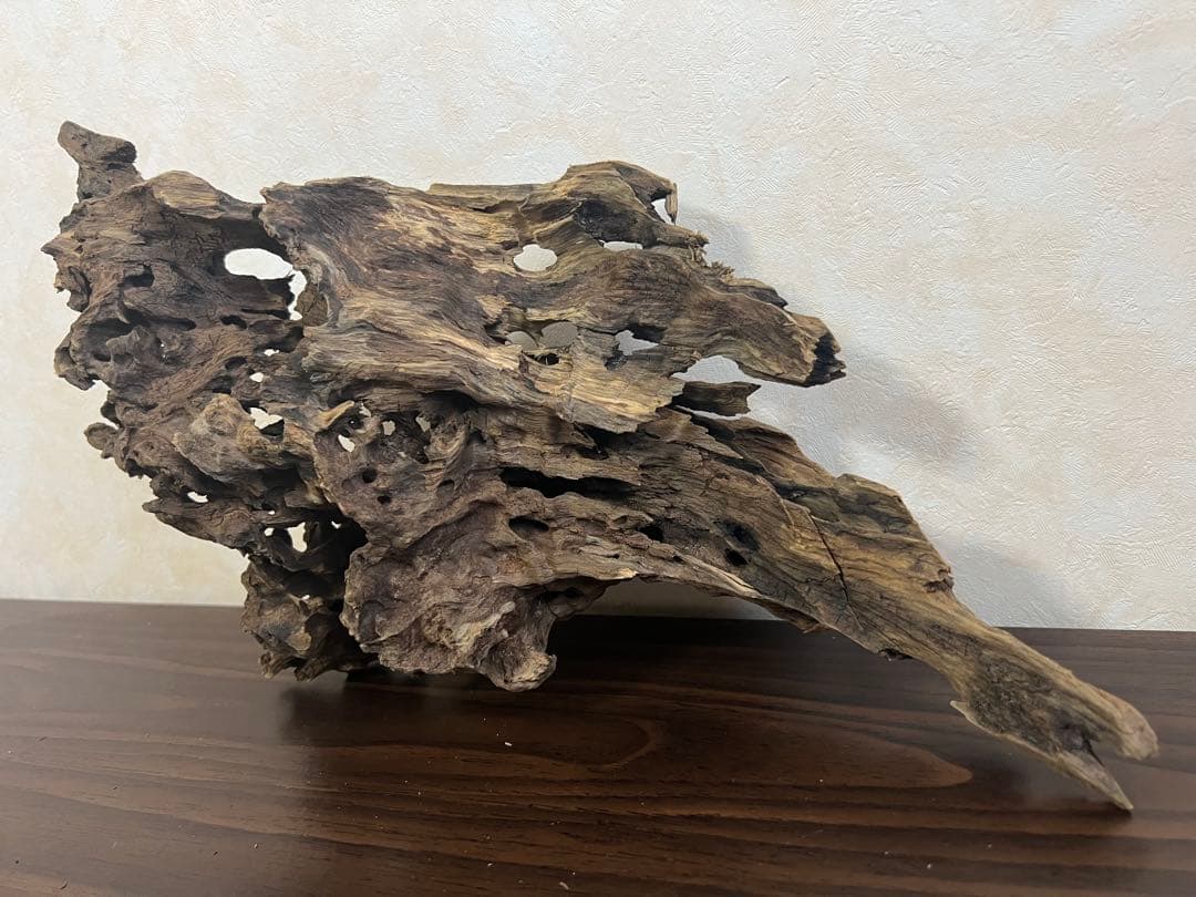 XM-307 流木　マシンガンウッド ブランチウッド　アクアリウム