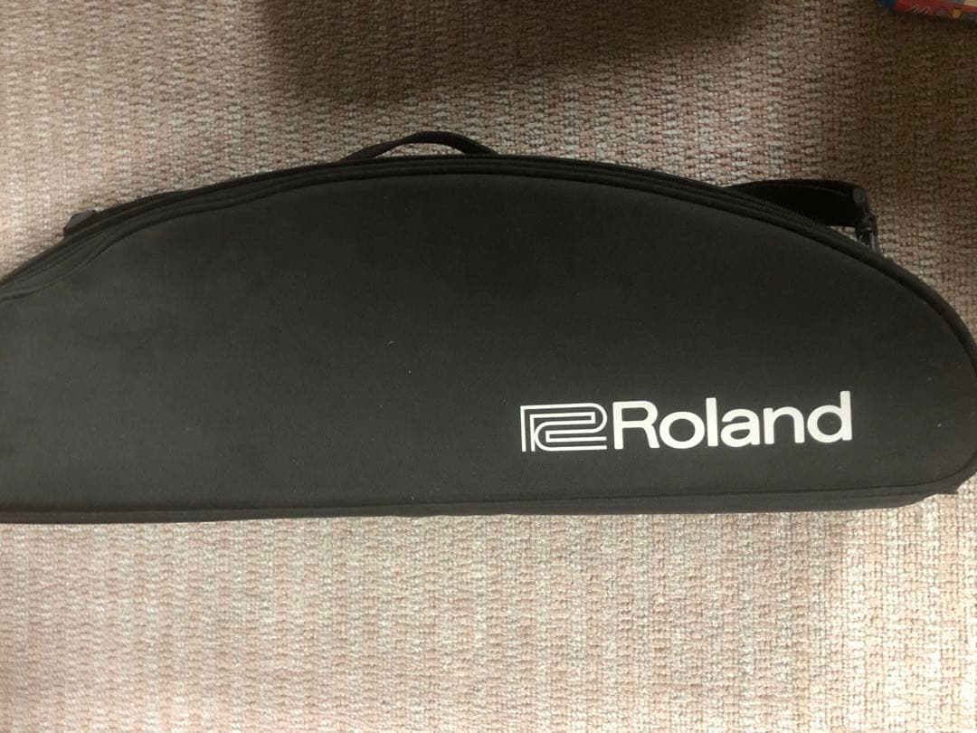 y*n様 エアロフォン Roland AE-10