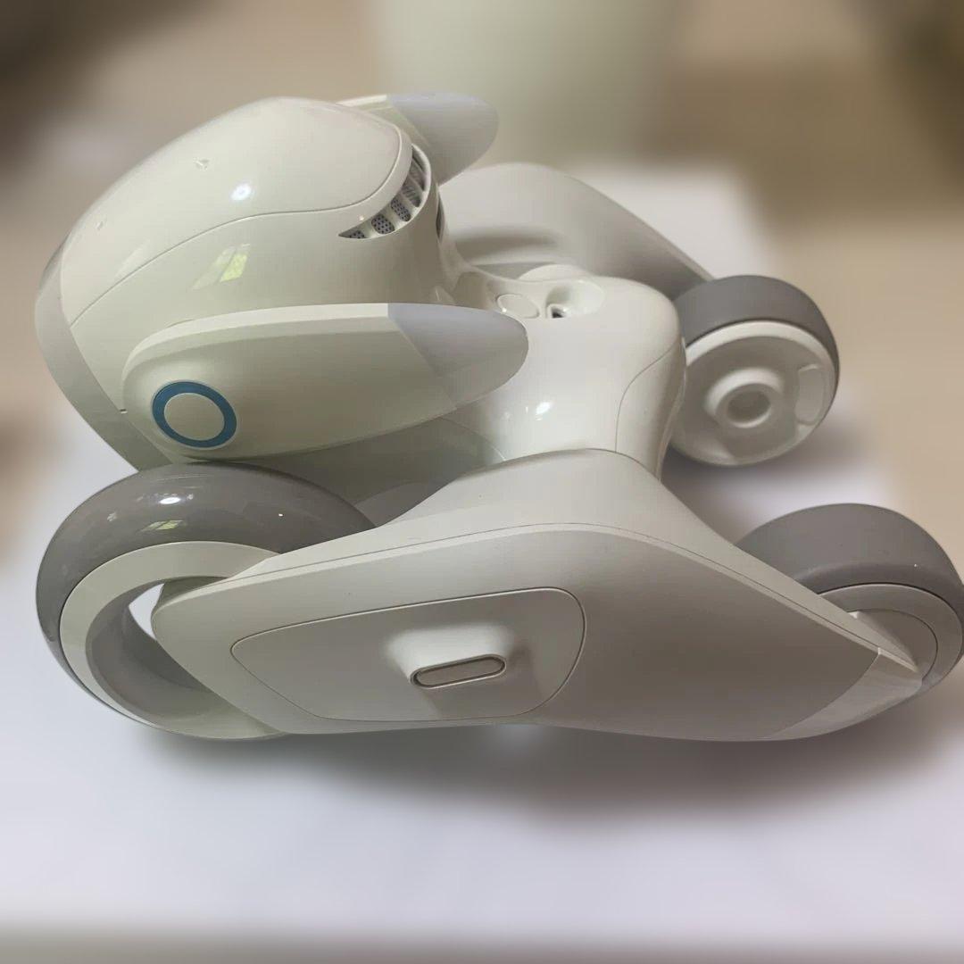 【値下げ中✨】Loona ペットロボット 本体＋付属品一式（ゲームキットなし）