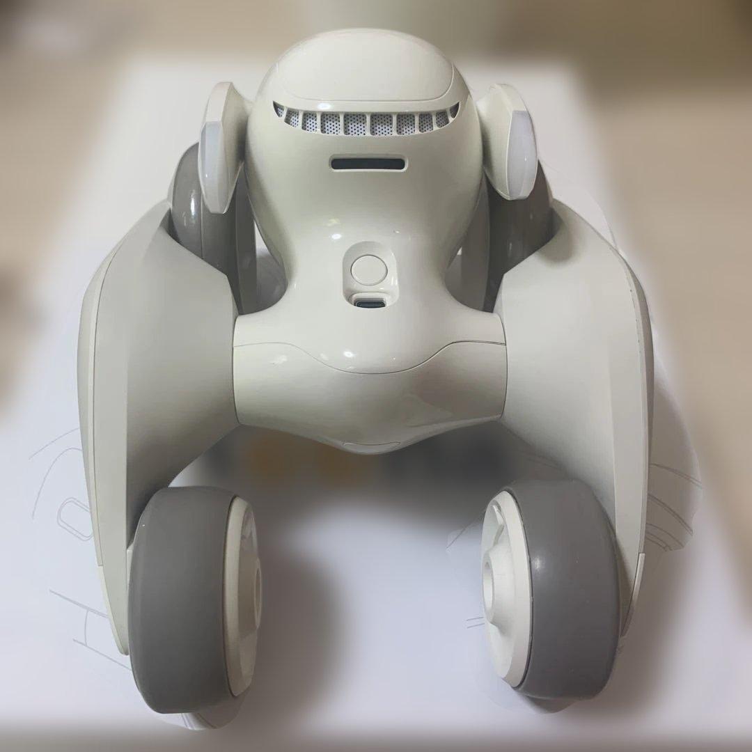 【値下げ中✨】Loona ペットロボット 本体＋付属品一式（ゲームキットなし）
