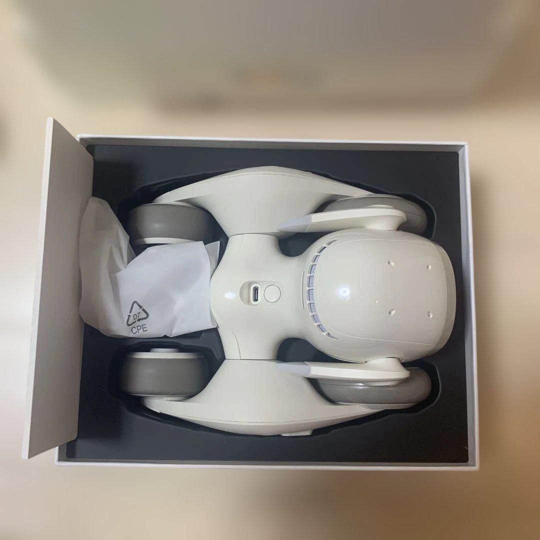 【値下げ中✨】Loona ペットロボット 本体＋付属品一式（ゲームキットなし）