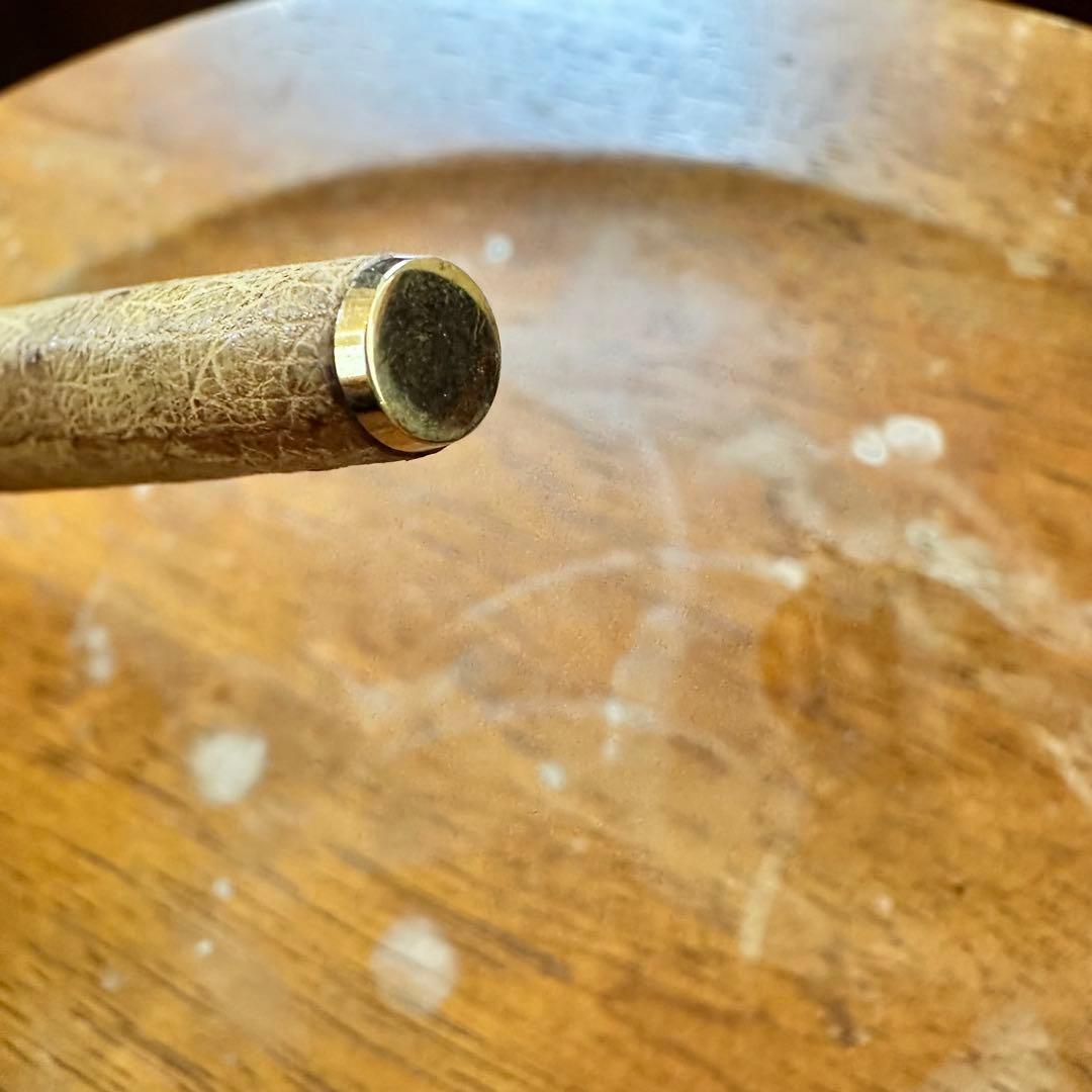 sailor セーラー　万年筆　オーストリッチ　茶　ペン先　18k ①