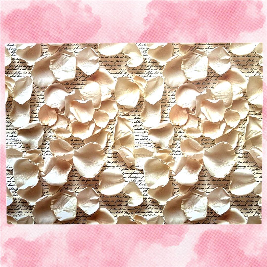 【li-26】lien様　デザインペーパー