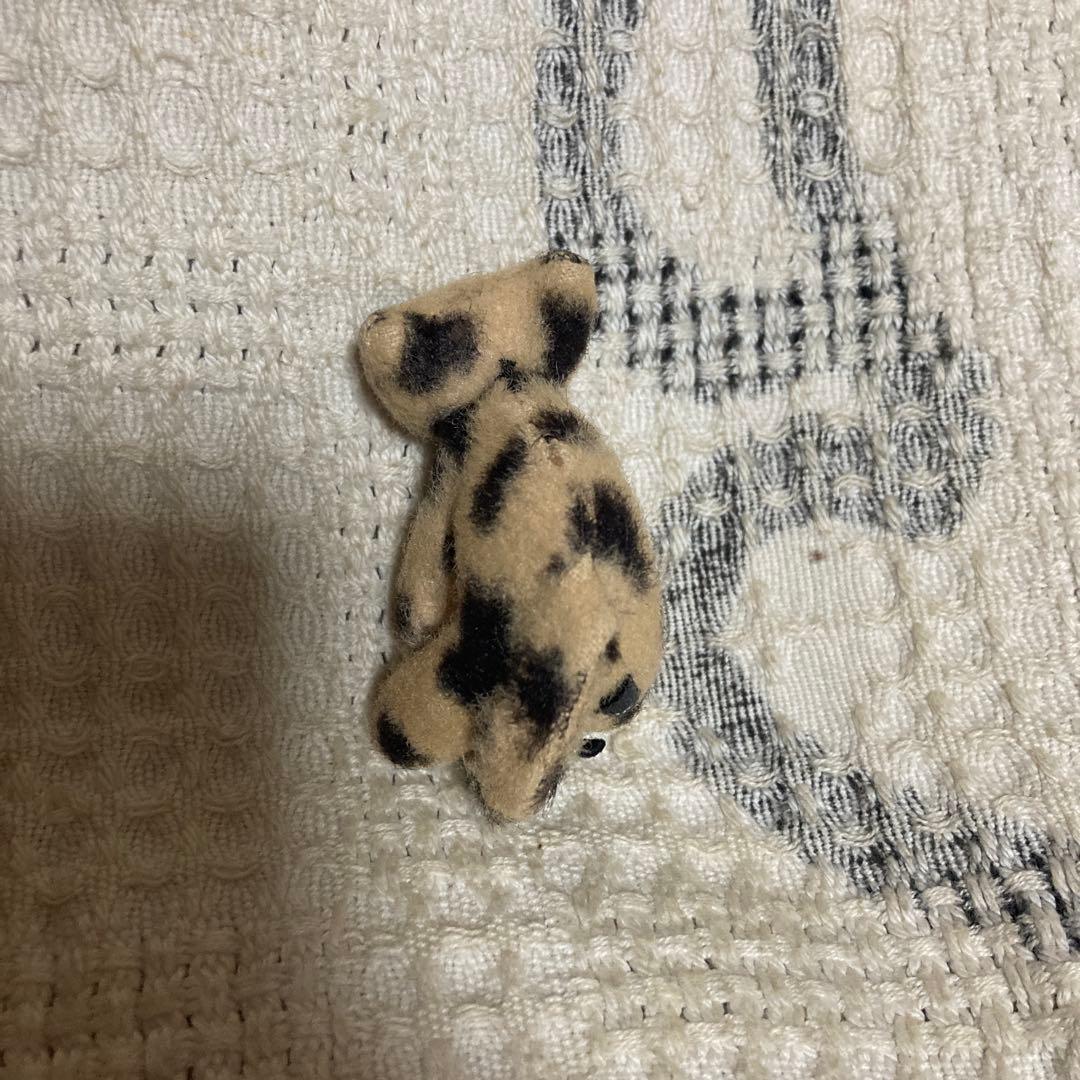 CAT,CAT,CAT! マリーメゾンドミュー　猫　ぬいぐるみ　5コセット