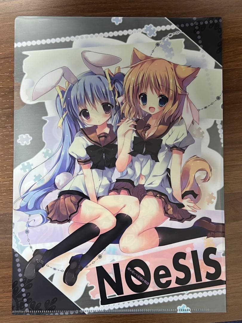 NOeSISグッズセット（同人誌、クリアファイル、抱き枕カバー、一部サイン入り）