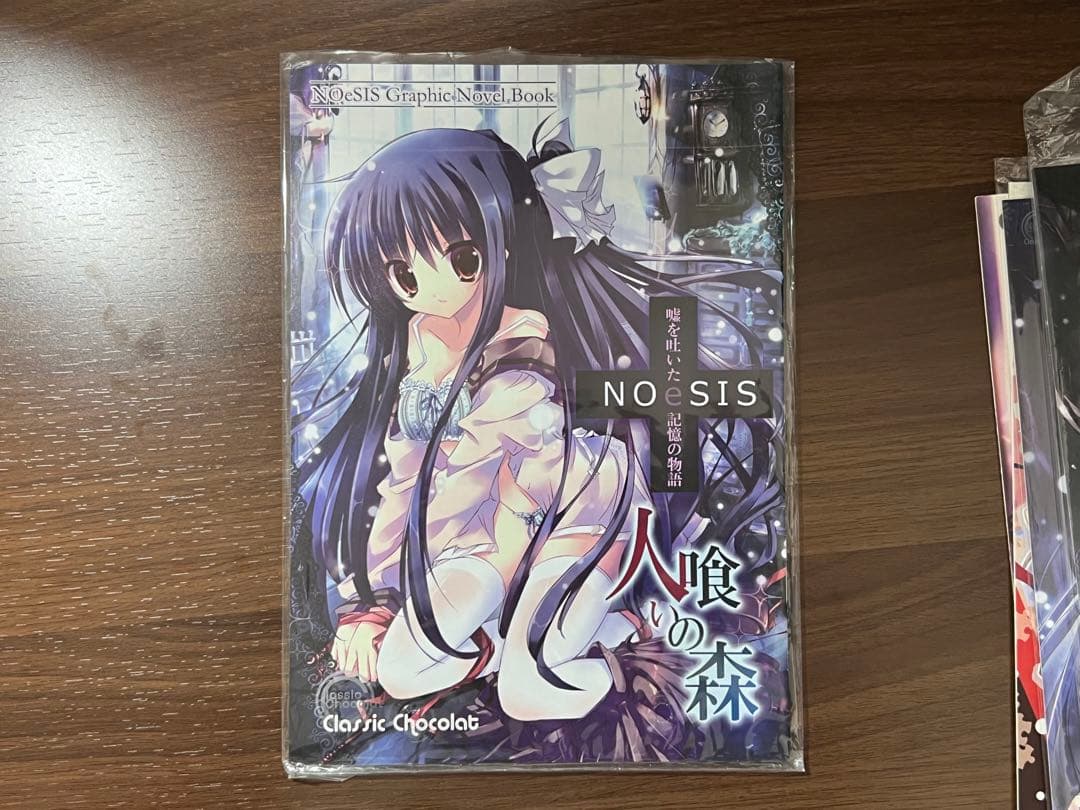 NOeSISグッズセット（同人誌、クリアファイル、抱き枕カバー、一部サイン入り）