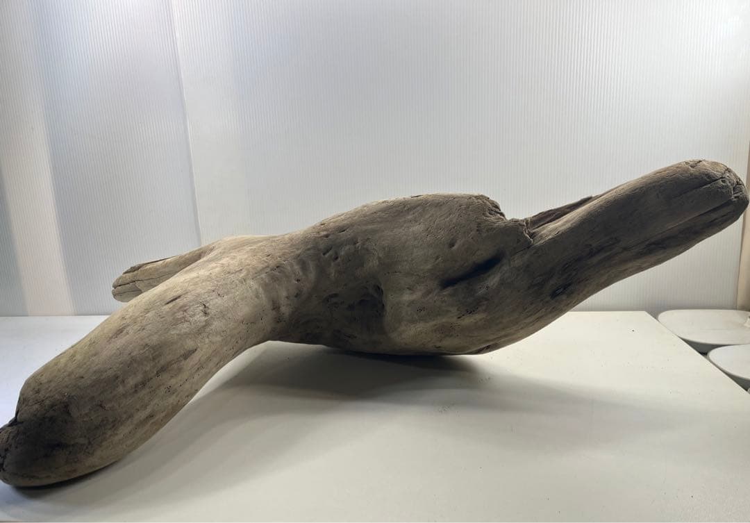 W29特大流木 アク抜き済み流木 爬虫類シェルター 登り木 インテリア 生け花