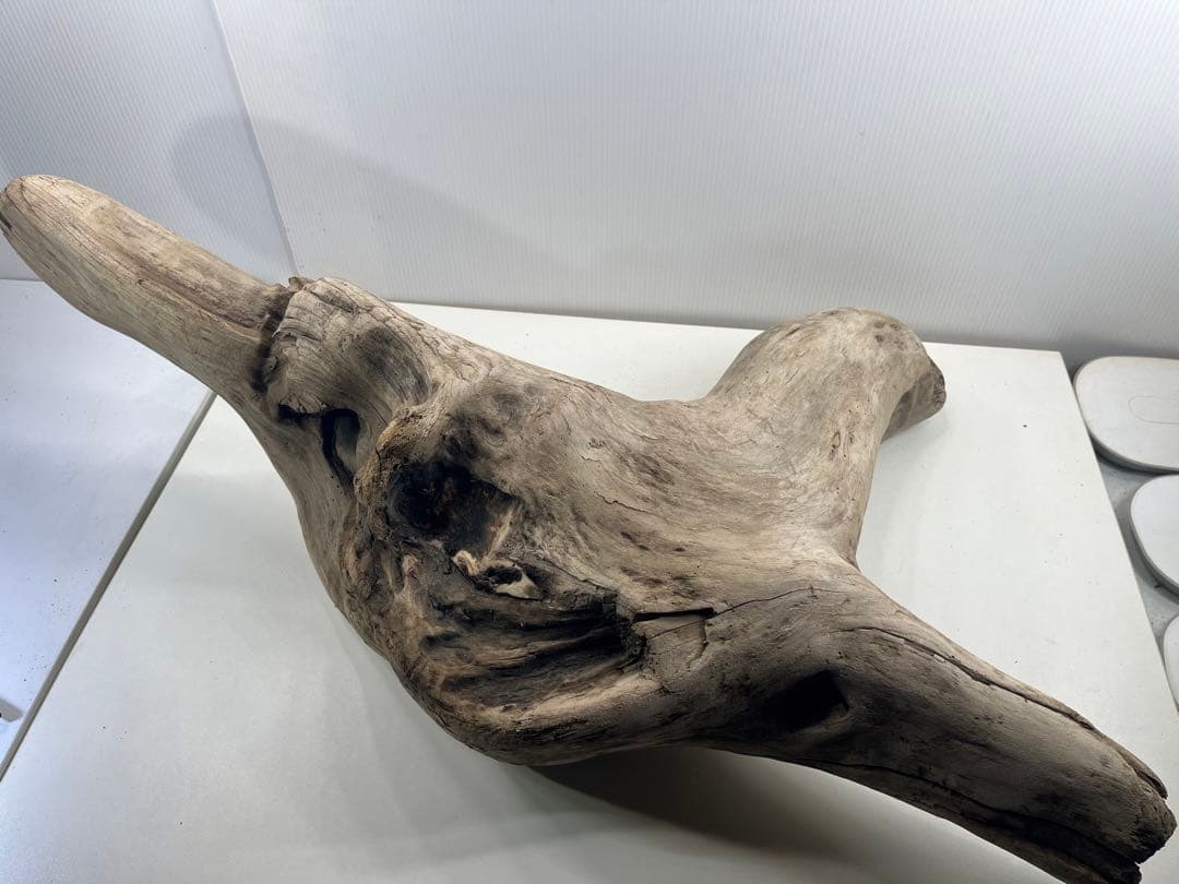 W29特大流木 アク抜き済み流木 爬虫類シェルター 登り木 インテリア 生け花