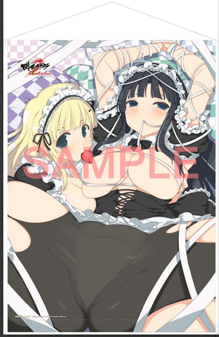 【希少】閃乱カグラ タペストリー&ソフト　シノビマスター