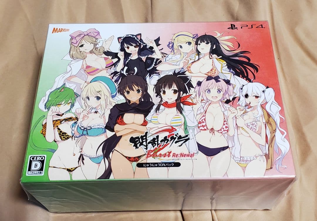 【希少】閃乱カグラ タペストリー&ソフト　シノビマスター