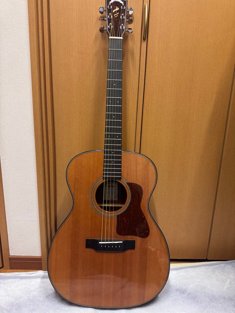 アコースティックギター エレアコ