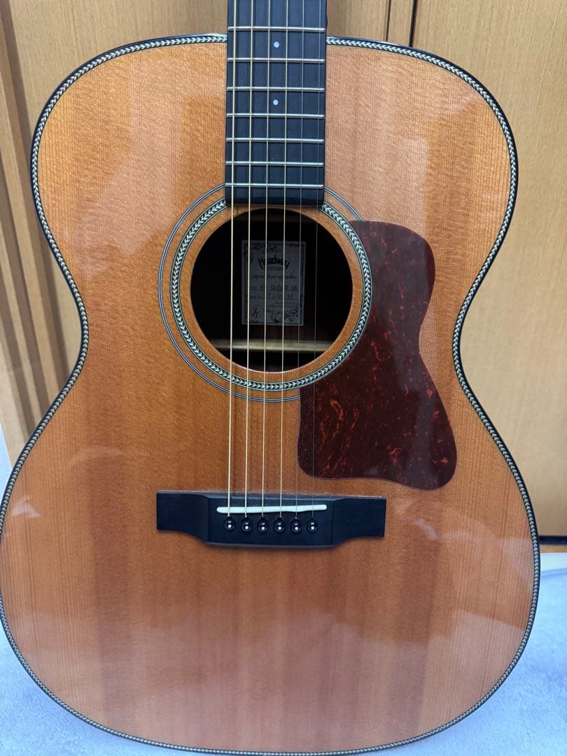 アコースティックギター エレアコ
