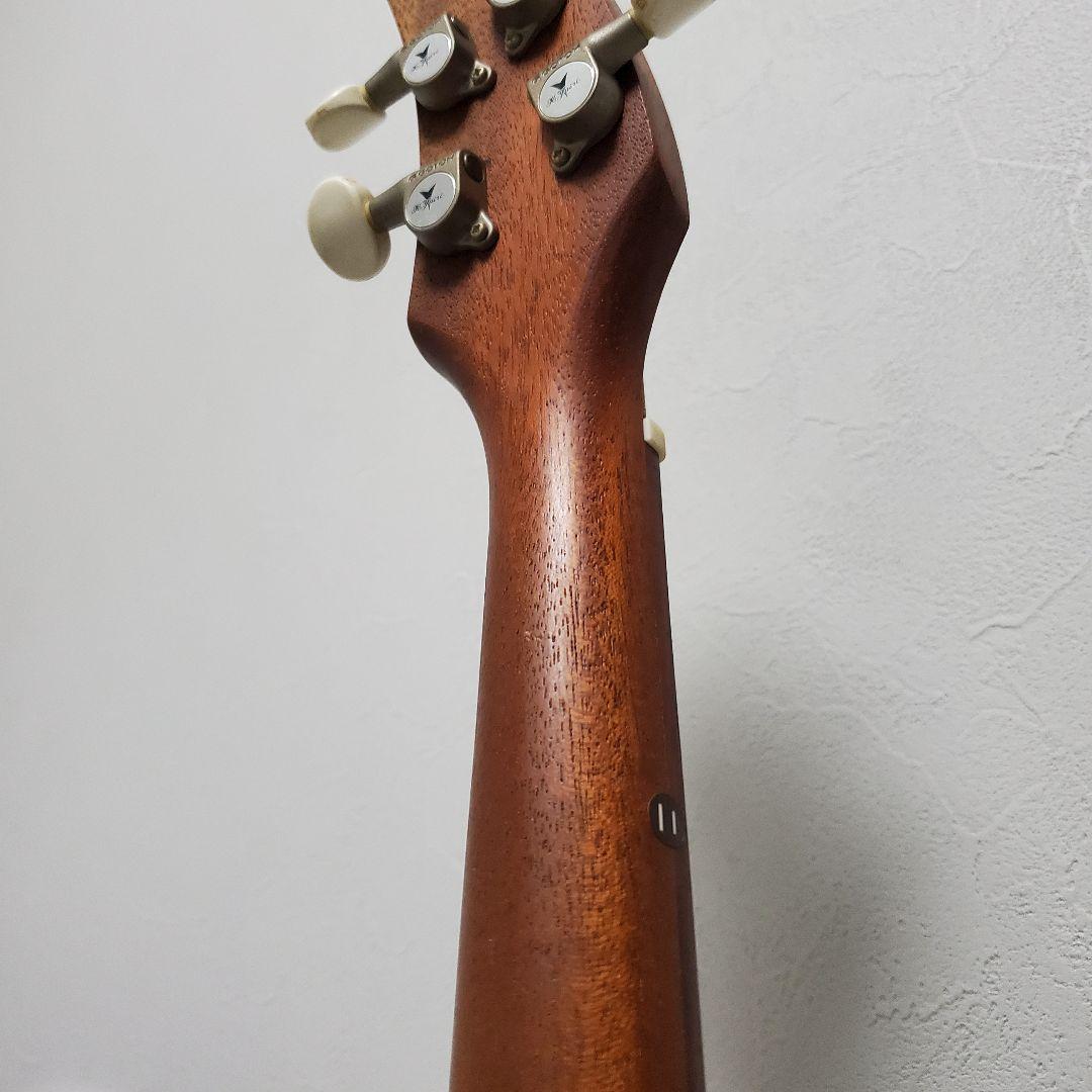 【美品★人気】ヤイリ 一期一会 音来(ニライ)