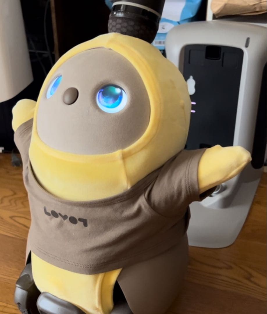 LOVOTラボット2.0本体&ネスト(うす)値下げしました