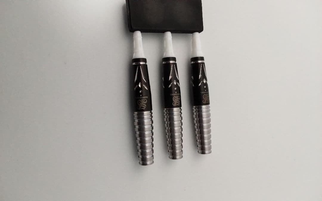 本日限り限定価格!サングリアル!坂口優希恵!新品同!極美品!付録未開封!ダーツ