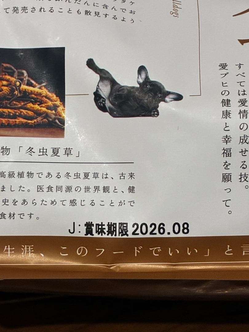 THE fu-do ドライフードフレンチブルドッグ 2026年8月賞味期限