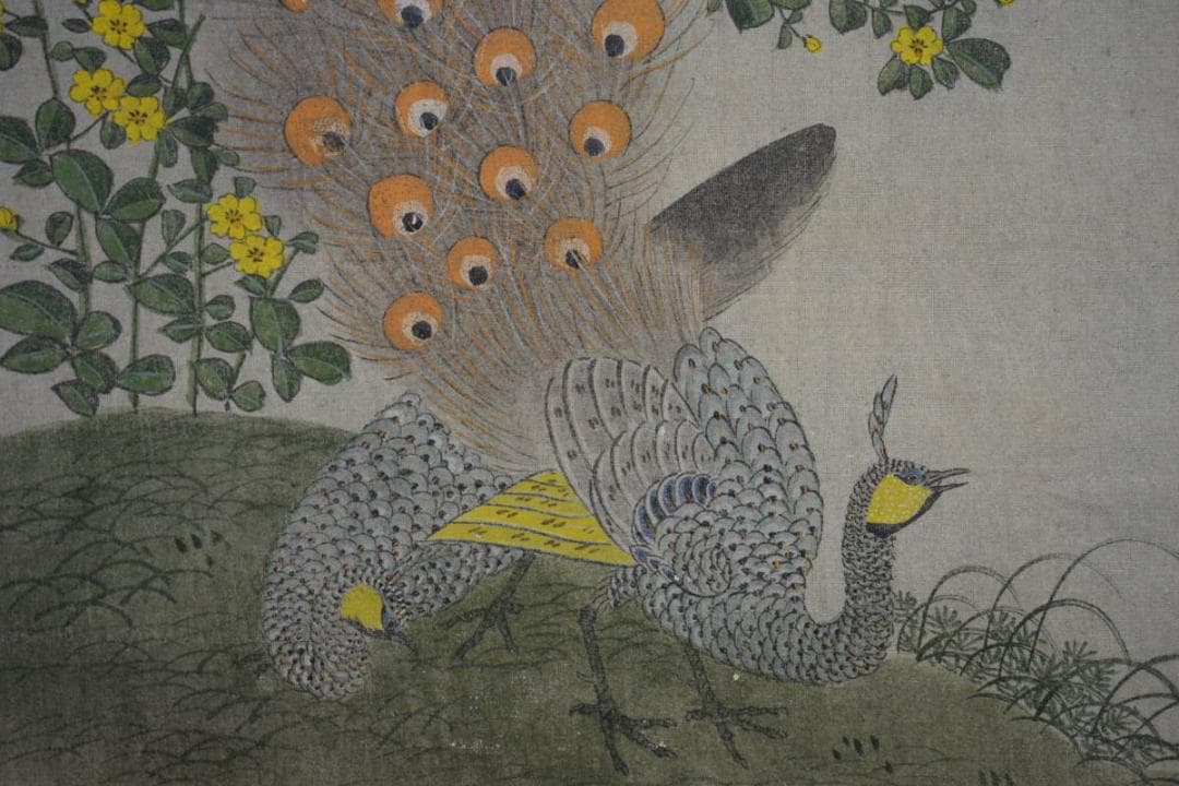 模写/狩野常信/孔雀図/布袋屋掛軸HE-935