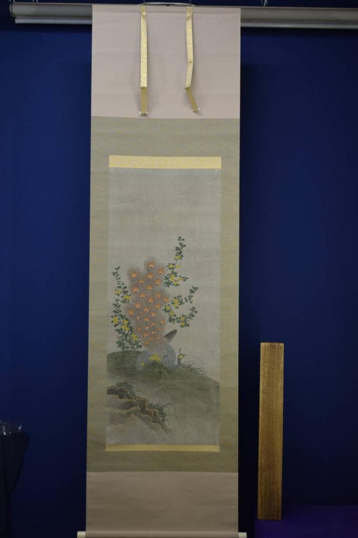 模写/狩野常信/孔雀図/布袋屋掛軸HE-935