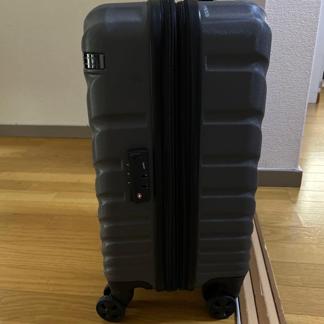 ACE グレー ストライプキャリーケース