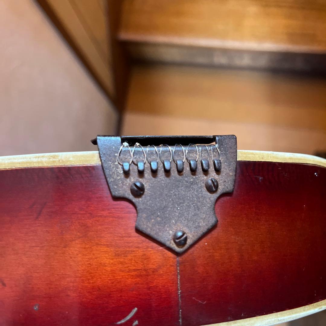 マンドリン　USA