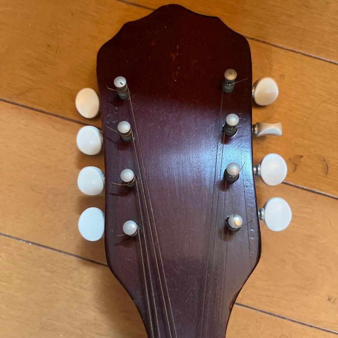 マンドリン　USA