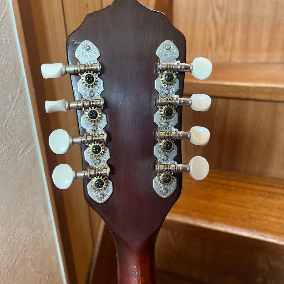 マンドリン　USA