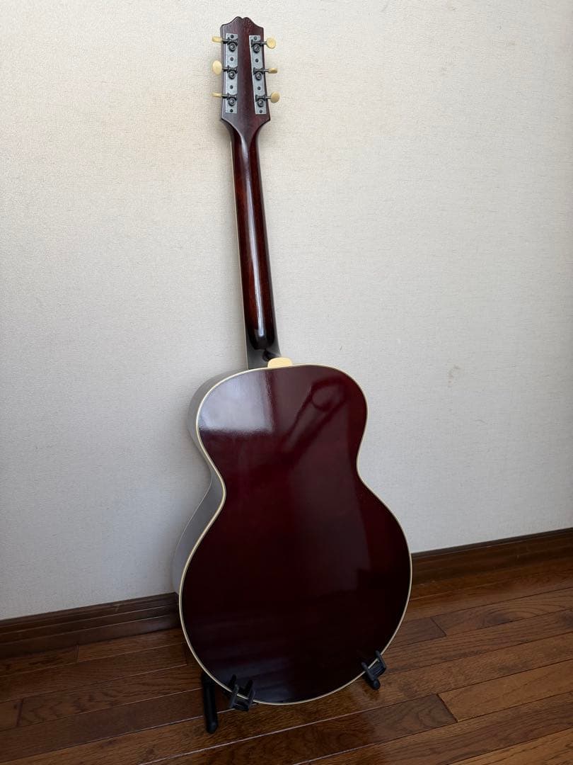ギター stringphoonic LeRoy Oval