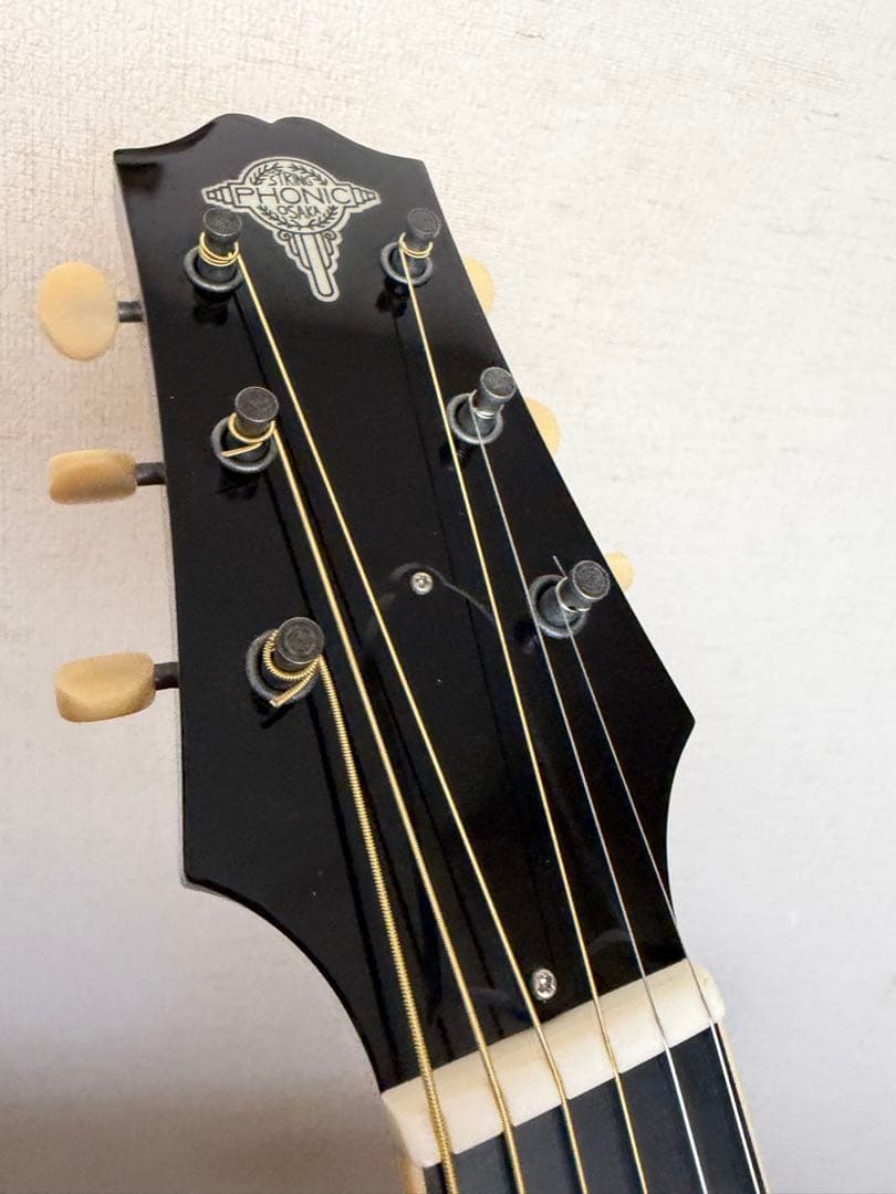 ギター stringphoonic LeRoy Oval