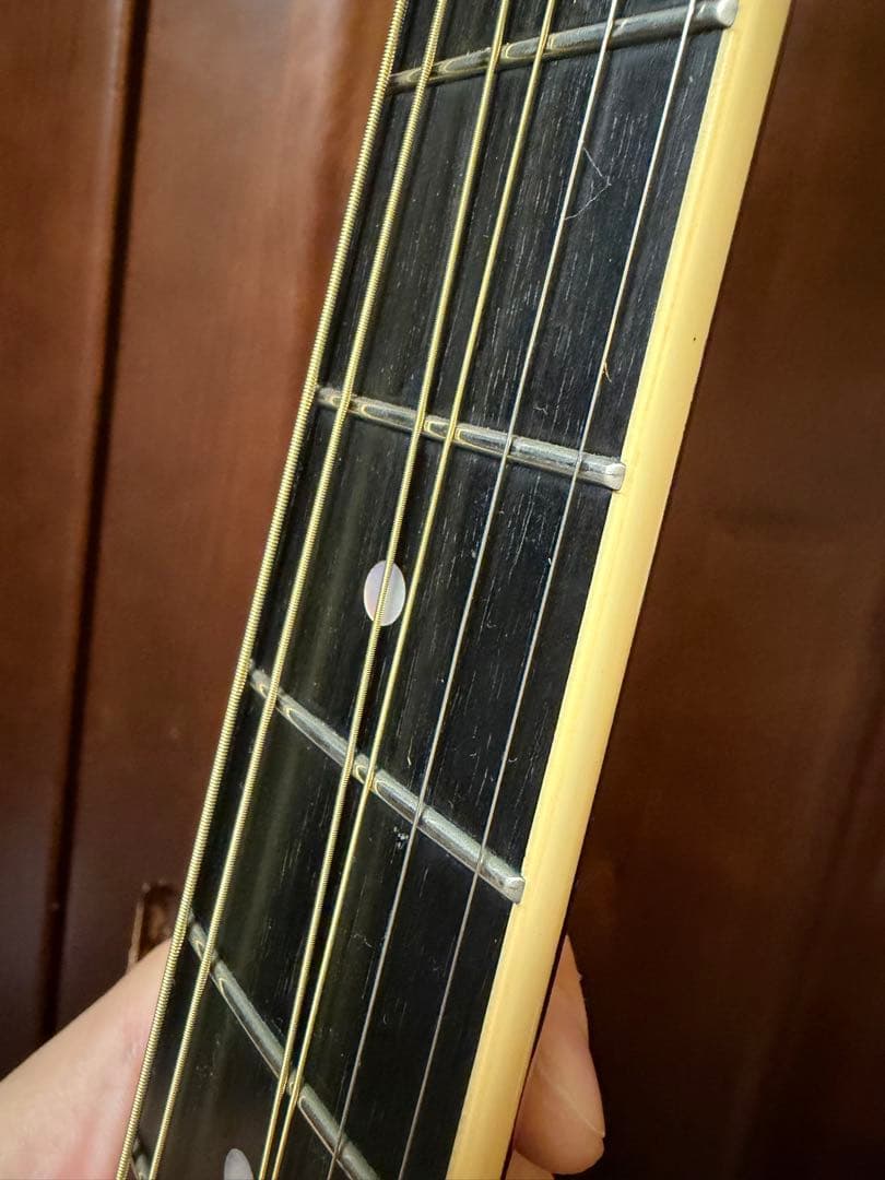 ギター stringphoonic LeRoy Oval