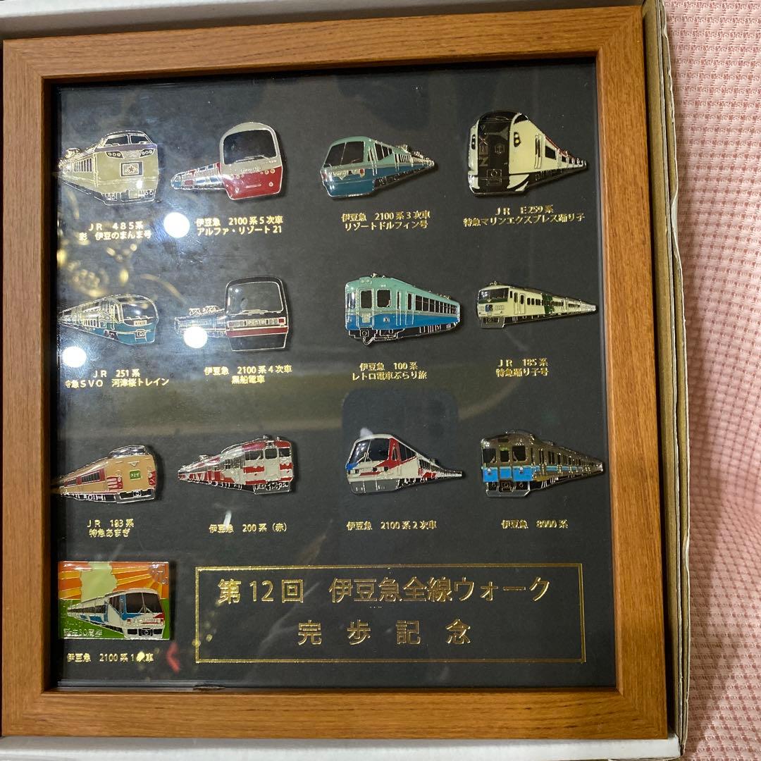 伊豆急ピンバッジ、ワッペン、タオルセット