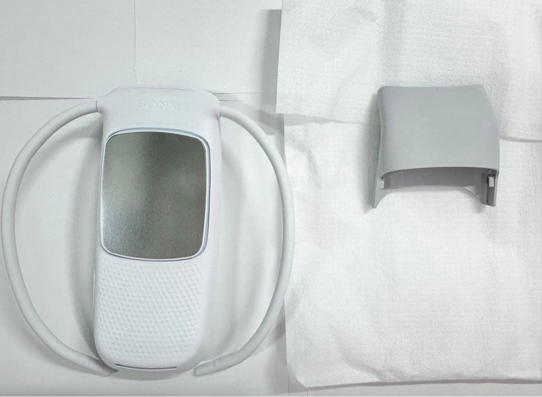 [SONY]REON POCKET 5(レオンポケット5)箱付き美品