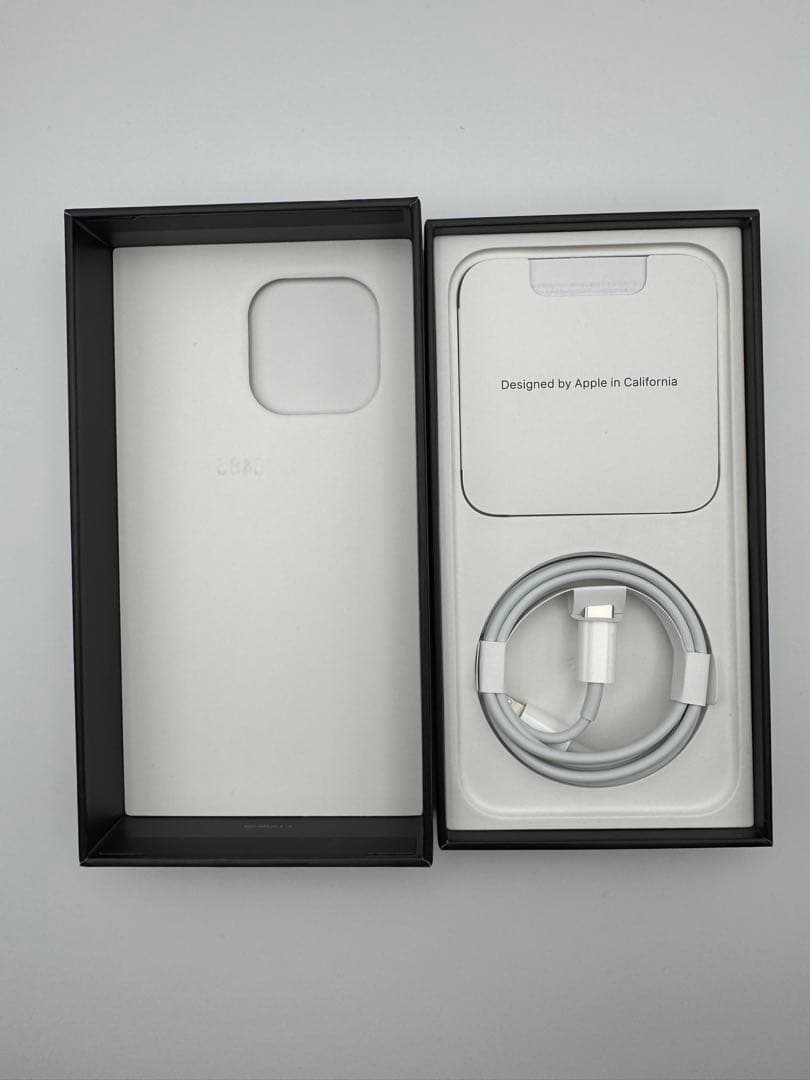 iPhone 13 Pro 256GB グラファイト(Ear Pods付き)