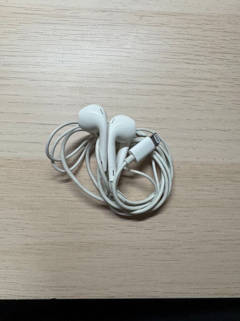 iPhone 13 Pro 256GB グラファイト(Ear Pods付き)