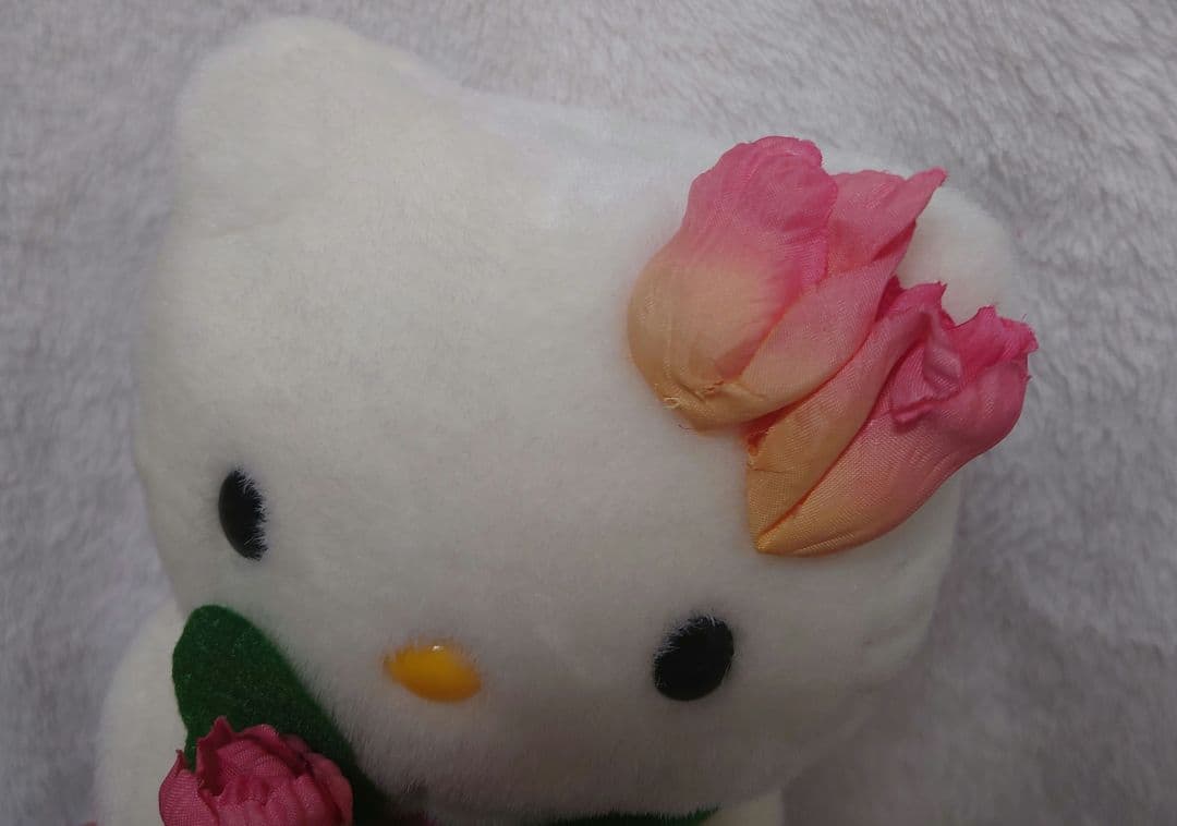 キティ☆富山☆チューリップ☆ぬいぐるみ