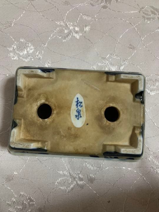 松泉　盆栽鉢3