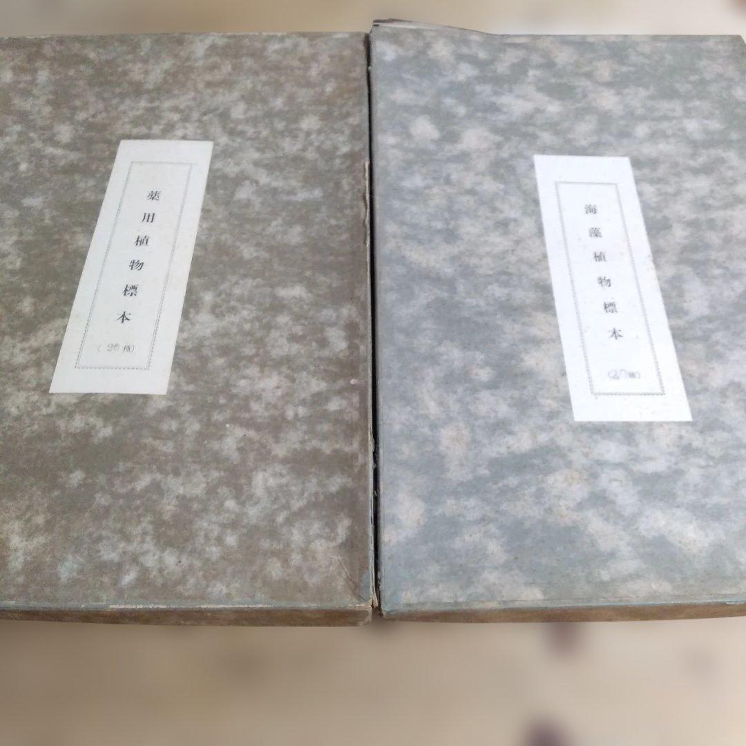 珍品　薬用植物標本 　海藻植物標本　コレクション　アンティーク