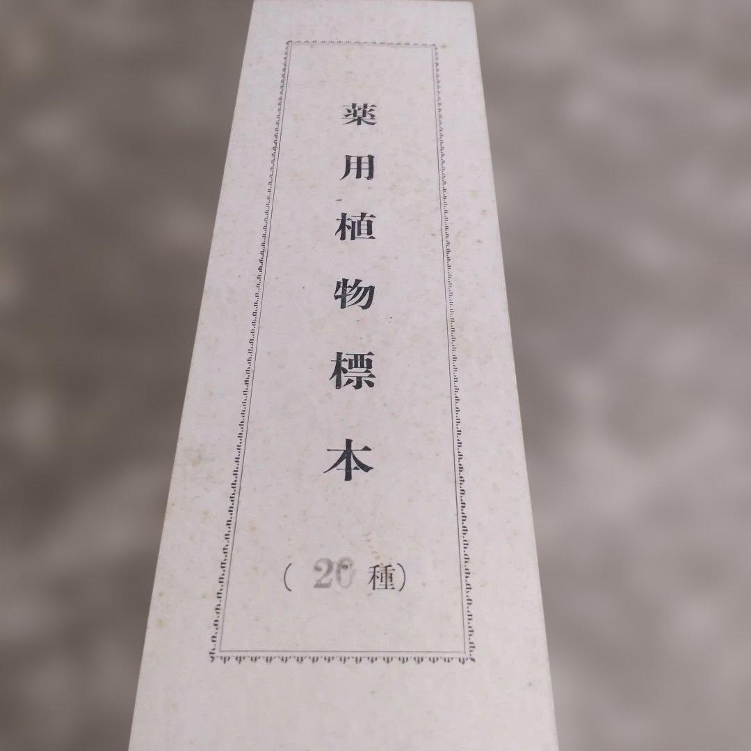 珍品　薬用植物標本 　海藻植物標本　コレクション　アンティーク