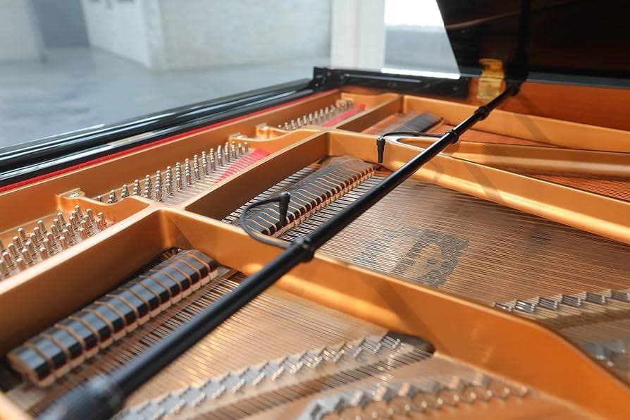 配信機器・PA機器・レコーディング機器 Earthworks PM40